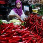 Pedagang menata cabai merah dan bahan pangan di pasar tradisional saat harga sejumlah komoditas mengalami kenaikan.