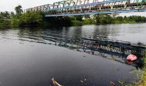 Sungai Ciujung Menghitam di Kabupaten Serang Sungai Ciujung di Kabupaten Serang terlihat menghitam di bawah jembatan baja, memicu kekhawatiran warga terkait kualitas lingkungan dan kondisi air sungai.